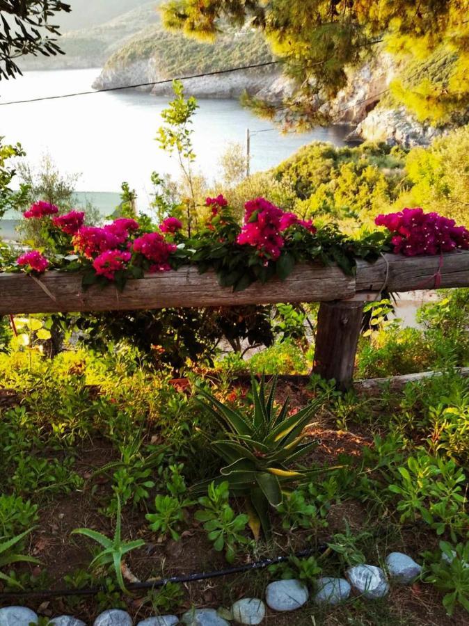 Dialiskari #2 Daire Limniónas Dış mekan fotoğraf