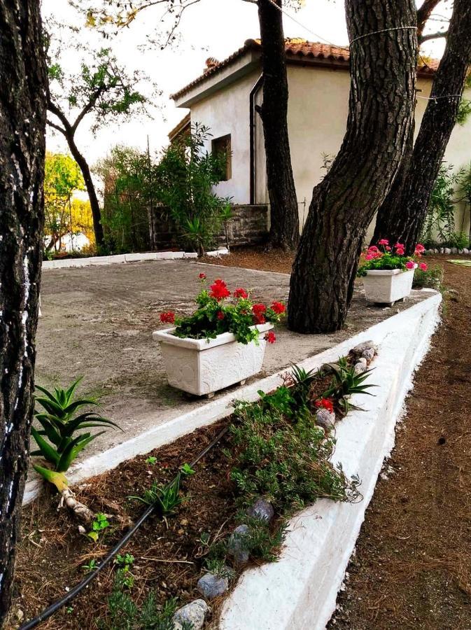 Dialiskari #2 Daire Limniónas Dış mekan fotoğraf